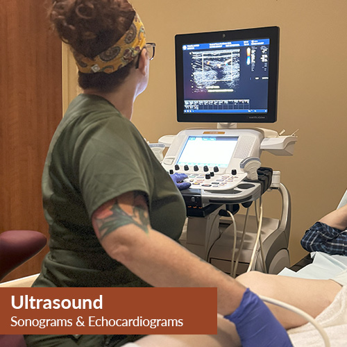 Ultrasound - Sonograms & Echocardiograms